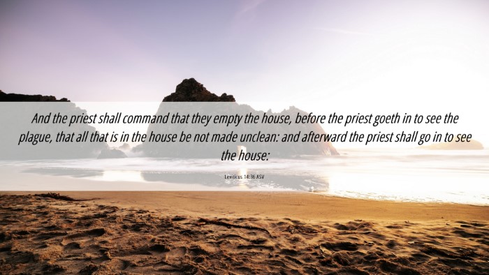 Picture 06 - Leviticus 14:36 ASV Desktop Wallpaper - And the priest shall command that they empty the - Desktop Bible Verse Wallpaper