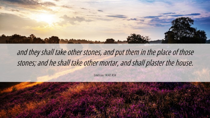 Picture 06 - Leviticus 14:42 ASV Desktop Wallpaper - and they shall take other stones, and put them in - Desktop Bible Verse Wallpaper