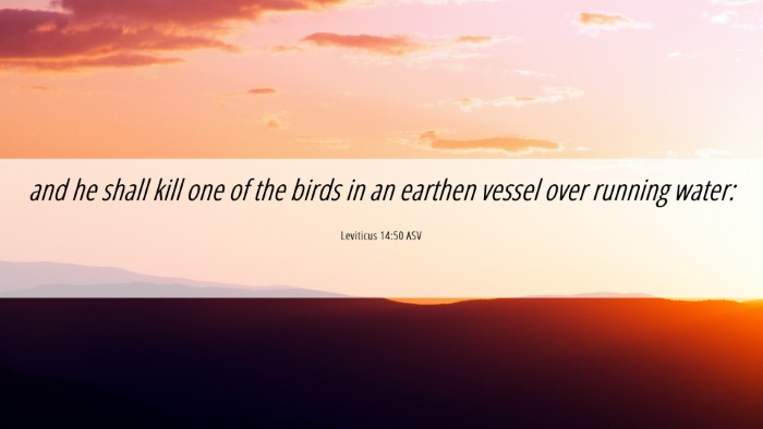 Picture 06 - Leviticus 14:50 ASV Desktop Wallpaper - and he shall kill one of the birds in an earthen - Desktop Bible Verse Wallpaper