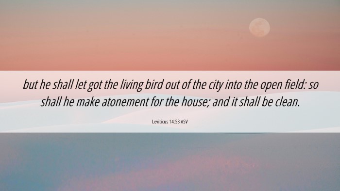 Picture 06 - Leviticus 14:53 ASV Desktop Wallpaper - but he shall let got the living bird out of the - Desktop Bible Verse Wallpaper