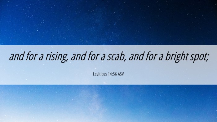 Picture 06 - Leviticus 14:56 ASV Desktop Wallpaper - and for a rising, and for a scab, and for a - Desktop Bible Verse Wallpaper