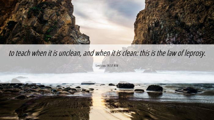 Picture 06 - Leviticus 14:57 ASV Desktop Wallpaper - to teach when it is unclean, and when it is - Desktop Bible Verse Wallpaper