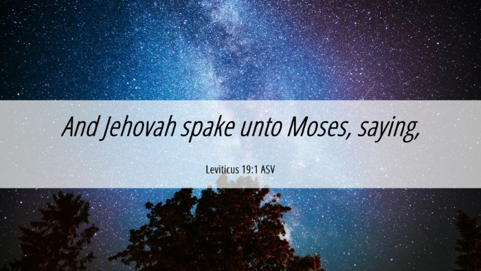 Picture 06 - Leviticus 19:1 ASV Desktop Wallpaper - And Jehovah spake unto Moses, - Desktop Bible Verse Wallpaper