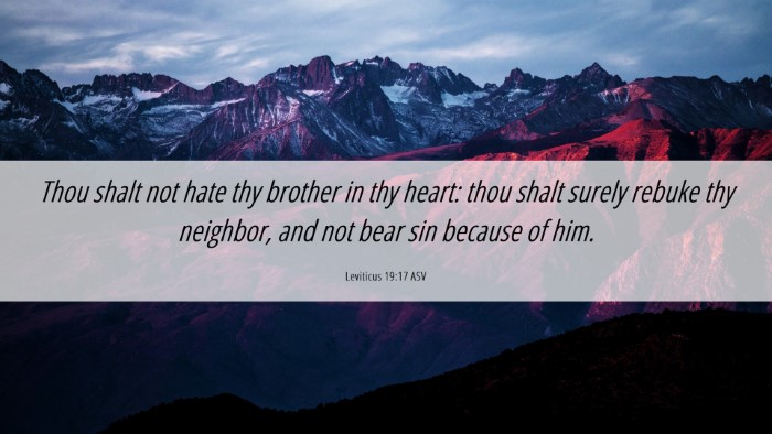 Picture 06 - Leviticus 19:17 ASV Desktop Wallpaper - Thou shalt not hate thy brother in thy heart: - Desktop Bible Verse Wallpaper