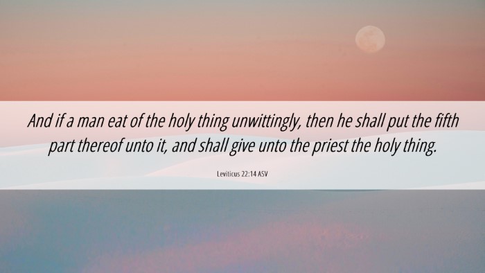Picture 06 - Leviticus 22:14 ASV Desktop Wallpaper - And if a man eat of the holy thing unwittingly, - Desktop Bible Verse Wallpaper