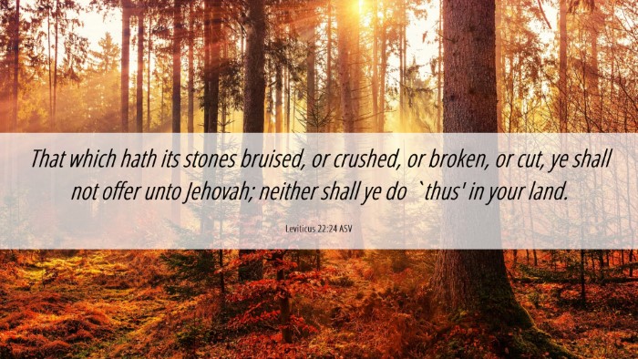 Picture 06 - Leviticus 22:24 ASV Desktop Wallpaper - That which hath its stones bruised, or crushed, - Desktop Bible Verse Wallpaper