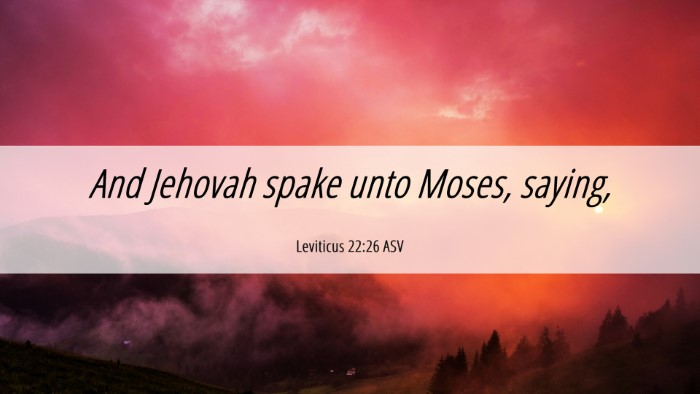Picture 06 - Leviticus 22:26 ASV Desktop Wallpaper - And Jehovah spake unto Moses, - Desktop Bible Verse Wallpaper