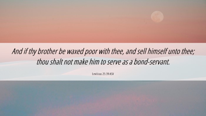 Picture 06 - Leviticus 25:39 ASV Desktop Wallpaper - And if thy brother be waxed poor with thee, and - Desktop Bible Verse Wallpaper