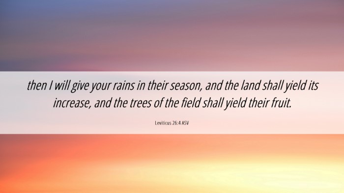 Picture 06 - Leviticus 26:4 ASV Desktop Wallpaper - then I will give your rains in their season, and - Desktop Bible Verse Wallpaper