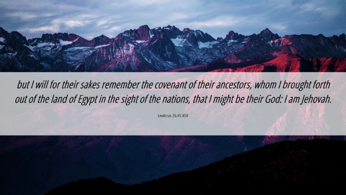 Picture 06 - Leviticus 26:45 ASV Desktop Wallpaper - but I will for their sakes remember the covenant - Desktop Bible Verse Wallpaper