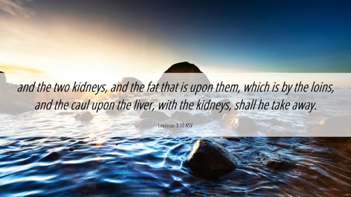 Picture 06 - Leviticus 3:10 ASV Desktop Wallpaper - and the two kidneys, and the fat that is upon - Desktop Bible Verse Wallpaper