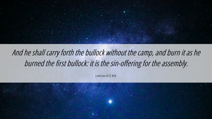 Picture 06 - Leviticus 4:21 ASV Desktop Wallpaper - And he shall carry forth the bullock without the - Desktop Bible Verse Wallpaper