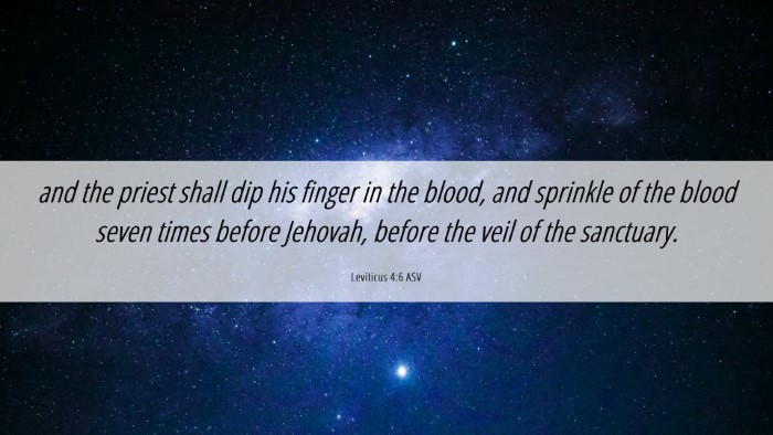 Picture 06 - Leviticus 4:6 ASV Desktop Wallpaper - and the priest shall dip his finger in the blood, - Desktop Bible Verse Wallpaper
