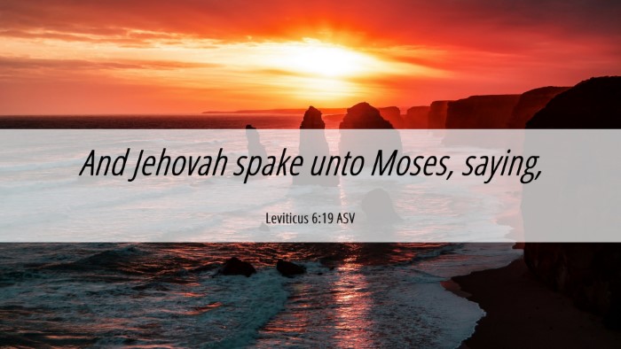 Picture 06 - Leviticus 6:19 ASV Desktop Wallpaper - And Jehovah spake unto Moses, - Desktop Bible Verse Wallpaper