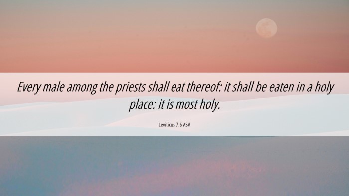 Picture 06 - Leviticus 7:6 ASV Desktop Wallpaper - Every male among the priests shall eat thereof: - Desktop Bible Verse Wallpaper