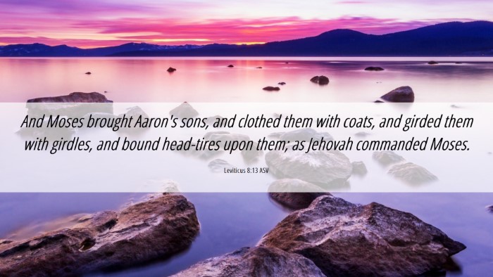 Picture 06 - Leviticus 8:13 ASV Desktop Wallpaper - And Moses brought Aaron's sons, and clothed them - Desktop Bible Verse Wallpaper