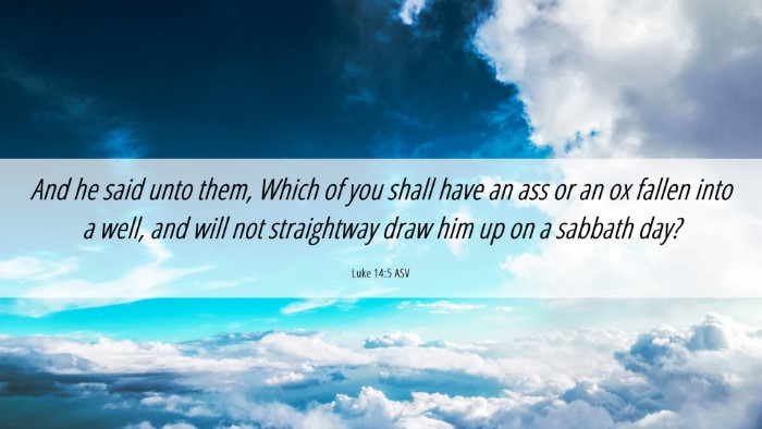 Picture 06 - Luke 14:5 ASV Desktop Wallpaper - And he said unto them, Which of you shall have an - Desktop Bible Verse Wallpaper