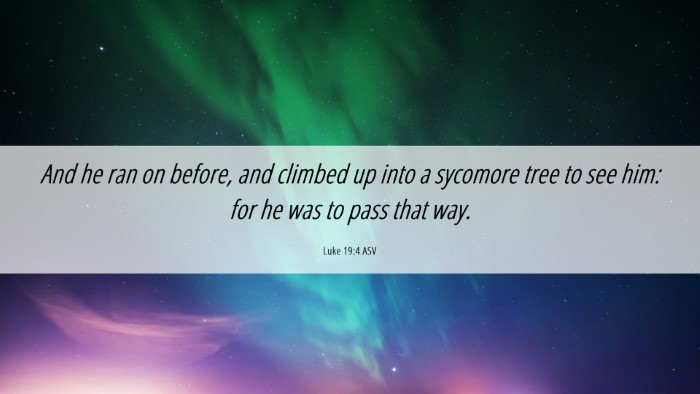 Picture 06 - Luke 19:4 ASV Desktop Wallpaper - And he ran on before, and climbed up into a - Desktop Bible Verse Wallpaper
