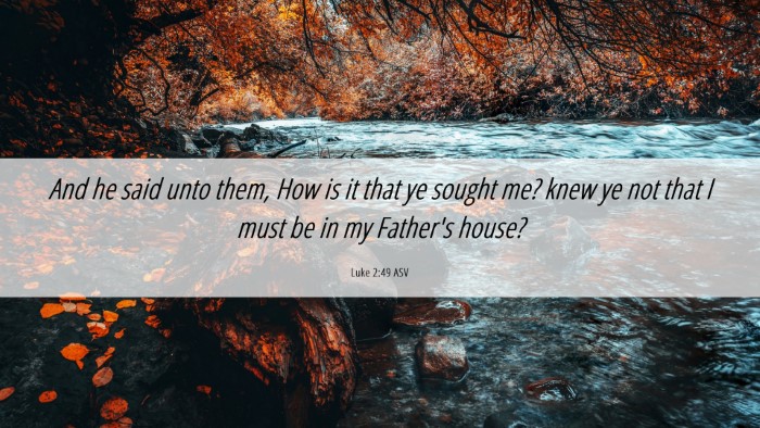 Picture 06 - Luke 2:49 ASV Desktop Wallpaper - And he said unto them, How is it that ye sought - Desktop Bible Verse Wallpaper