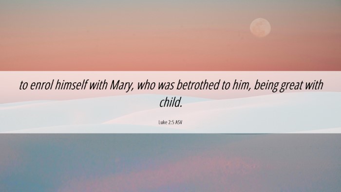 Picture 06 - Luke 2:5 ASV Desktop Wallpaper - to enrol himself with Mary, who was betrothed to - Desktop Bible Verse Wallpaper