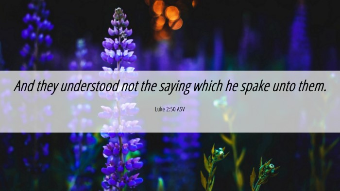 Picture 06 - Luke 2:50 ASV Desktop Wallpaper - And they understood not the saying which he spake - Desktop Bible Verse Wallpaper