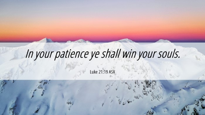 Picture 06 - Luke 21:19 ASV Desktop Wallpaper - In your patience ye shall win your - Desktop Bible Verse Wallpaper