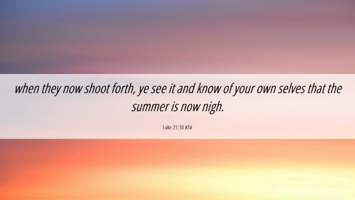 Picture 06 - Luke 21:30 ASV Desktop Wallpaper - when they now shoot forth, ye see it and know of - Desktop Bible Verse Wallpaper