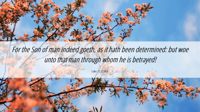 Picture 06 - Luke 22:22 ASV Desktop Wallpaper - For the Son of man indeed goeth, as it hath been - Desktop Bible Verse Wallpaper