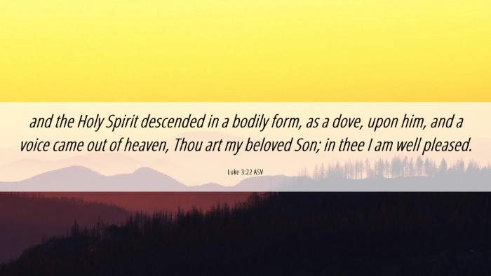 Picture 06 - Luke 3:22 ASV Desktop Wallpaper - and the Holy Spirit descended in a bodily form, - Desktop Bible Verse Wallpaper