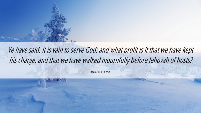 Picture 06 - Malachi 3:14 ASV Desktop Wallpaper - Ye have said, It is vain to serve God; and what - Desktop Bible Verse Wallpaper