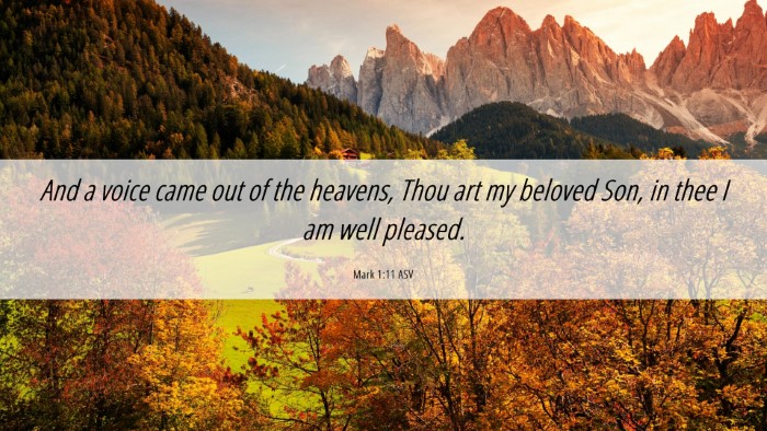 Picture 06 - Mark 1:11 ASV Desktop Wallpaper - And a voice came out of the heavens, Thou art my - Desktop Bible Verse Wallpaper