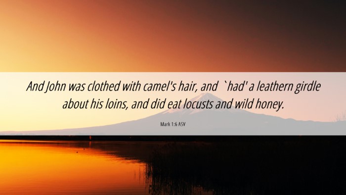 Picture 06 - Mark 1:6 ASV Desktop Wallpaper - And John was clothed with camel's hair, and `had' - Desktop Bible Verse Wallpaper