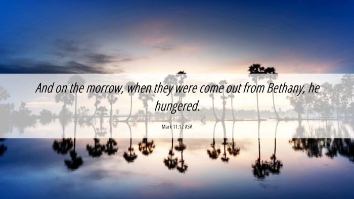 Picture 06 - Mark 11:12 ASV Desktop Wallpaper - And on the morrow, when they were come out from - Desktop Bible Verse Wallpaper