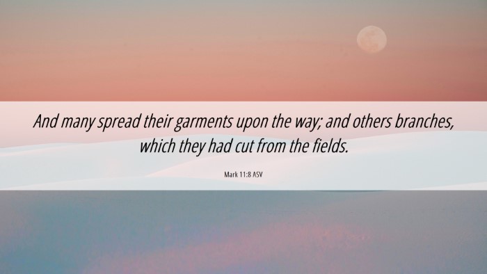 Picture 06 - Mark 11:8 ASV Desktop Wallpaper - And many spread their garments upon the way; and - Desktop Bible Verse Wallpaper