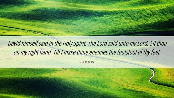 Picture 06 - Mark 12:36 ASV Desktop Wallpaper - David himself said in the Holy Spirit, The Lord - Desktop Bible Verse Wallpaper