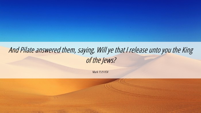Picture 06 - Mark 15:9 ASV Desktop Wallpaper - And Pilate answered them, saying, Will ye that I - Desktop Bible Verse Wallpaper