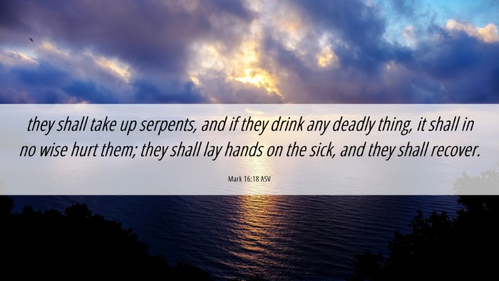 Picture 06 - Mark 16:18 ASV Desktop Wallpaper - they shall take up serpents, and if they drink - Desktop Bible Verse Wallpaper