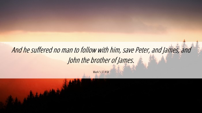 Picture 06 - Mark 5:37 ASV Desktop Wallpaper - And he suffered no man to follow with him, save - Desktop Bible Verse Wallpaper