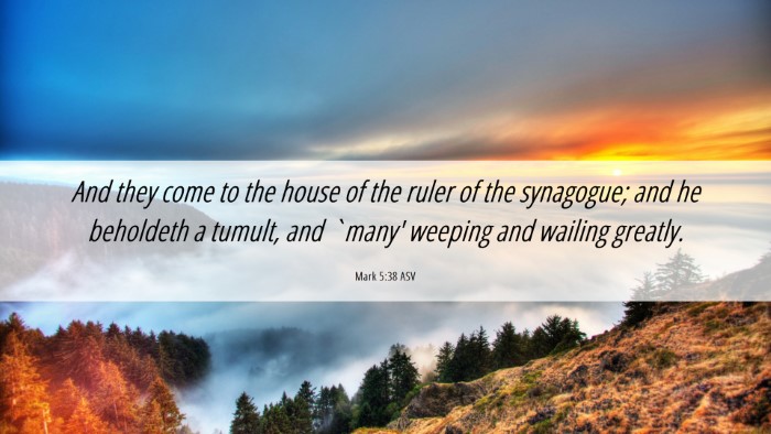 Picture 06 - Mark 5:38 ASV Desktop Wallpaper - And they come to the house of the ruler of the - Desktop Bible Verse Wallpaper