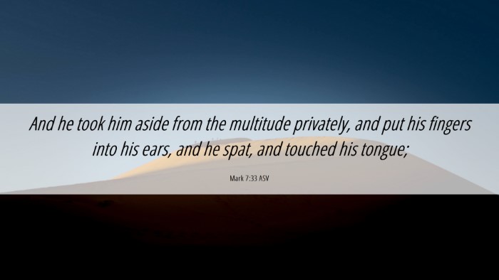 Picture 06 - Mark 7:33 ASV Desktop Wallpaper - And he took him aside from the multitude - Desktop Bible Verse Wallpaper