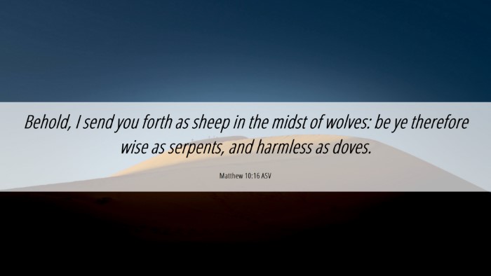 Picture 06 - Matthew 10:16 ASV Desktop Wallpaper - Behold, I send you forth as sheep in the midst of - Desktop Bible Verse Wallpaper