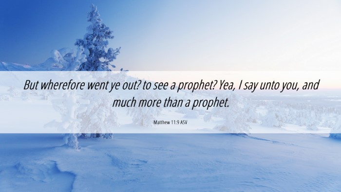 Picture 06 - Matthew 11:9 ASV Desktop Wallpaper - But wherefore went ye out? to see a prophet? Yea, - Desktop Bible Verse Wallpaper