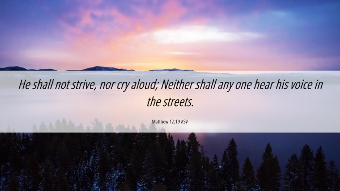 Picture 06 - Matthew 12:19 ASV Desktop Wallpaper - He shall not strive, nor cry aloud; Neither shall - Desktop Bible Verse Wallpaper