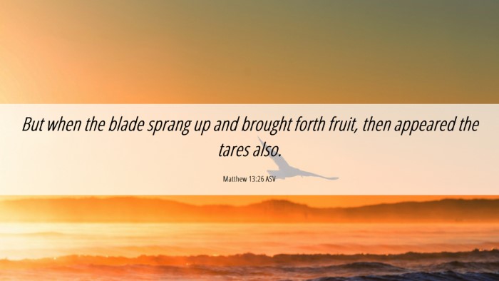 Picture 06 - Matthew 13:26 ASV Desktop Wallpaper - But when the blade sprang up and brought forth - Desktop Bible Verse Wallpaper