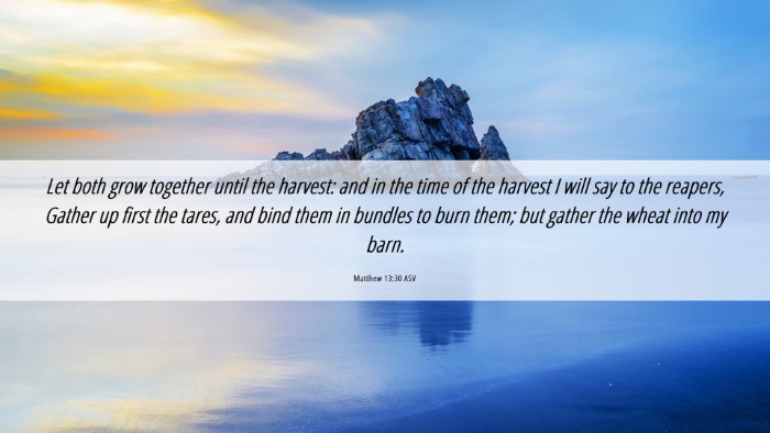 Picture 06 - Matthew 13:30 ASV Desktop Wallpaper - Let both grow together until the harvest: and in - Desktop Bible Verse Wallpaper