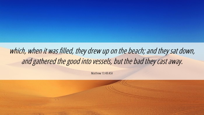Picture 06 - Matthew 13:48 ASV Desktop Wallpaper - which, when it was filled, they drew up on the - Desktop Bible Verse Wallpaper