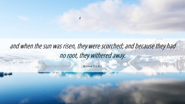 Picture 06 - Matthew 13:6 ASV Desktop Wallpaper - and when the sun was risen, they were scorched; - Desktop Bible Verse Wallpaper