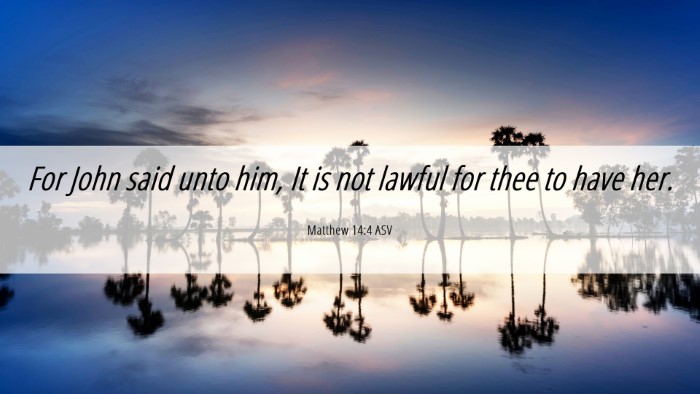 Picture 06 - Matthew 14:4 ASV Desktop Wallpaper - For John said unto him, It is not lawful for thee - Desktop Bible Verse Wallpaper