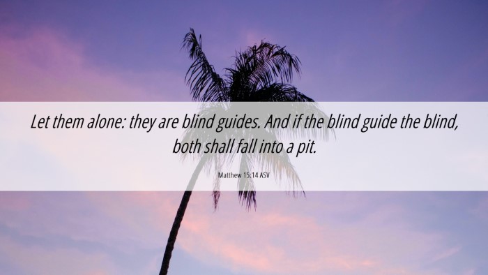 Picture 06 - Matthew 15:14 ASV Desktop Wallpaper - Let them alone: they are blind guides. And if the - Desktop Bible Verse Wallpaper