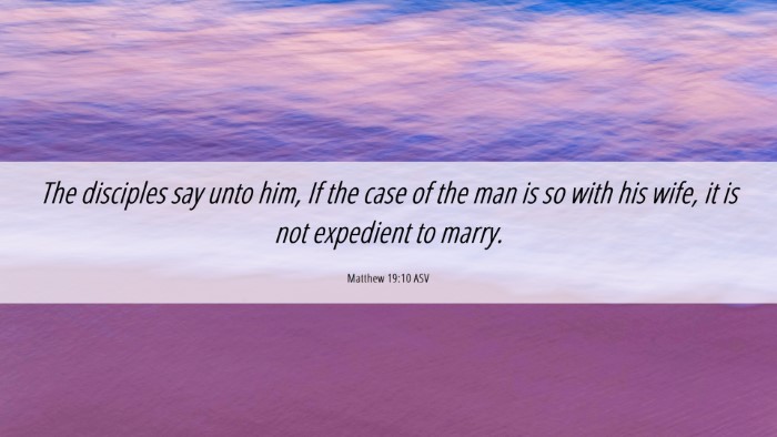 Picture 06 - Matthew 19:10 ASV Desktop Wallpaper - The disciples say unto him, If the case of the - Desktop Bible Verse Wallpaper